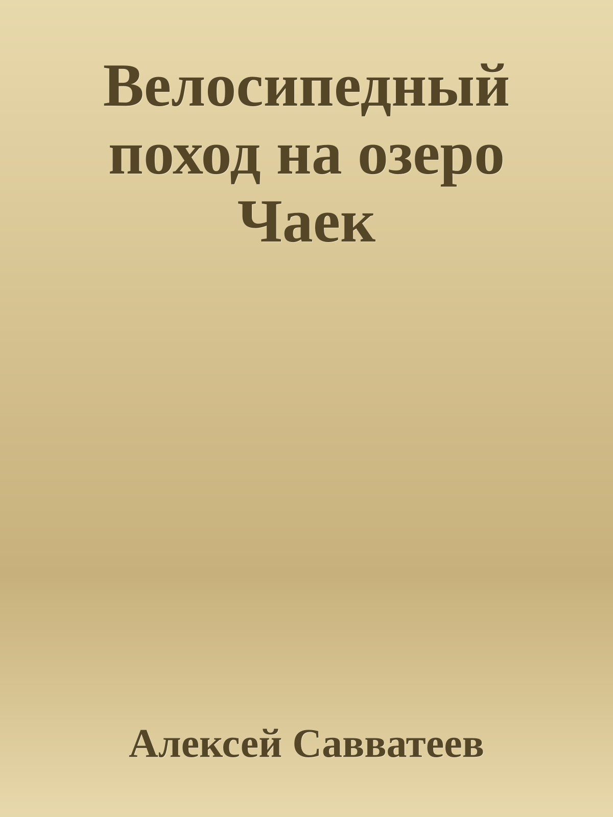 Велосипедный поход на озеро Чаек