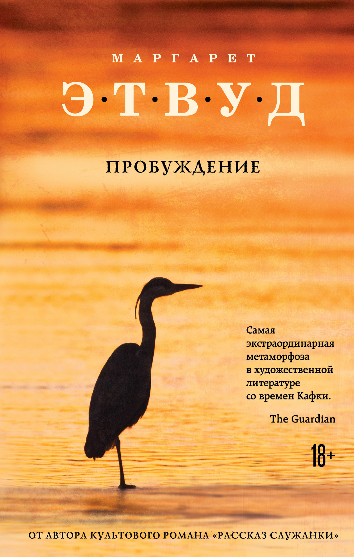 Пробуждение [litres]