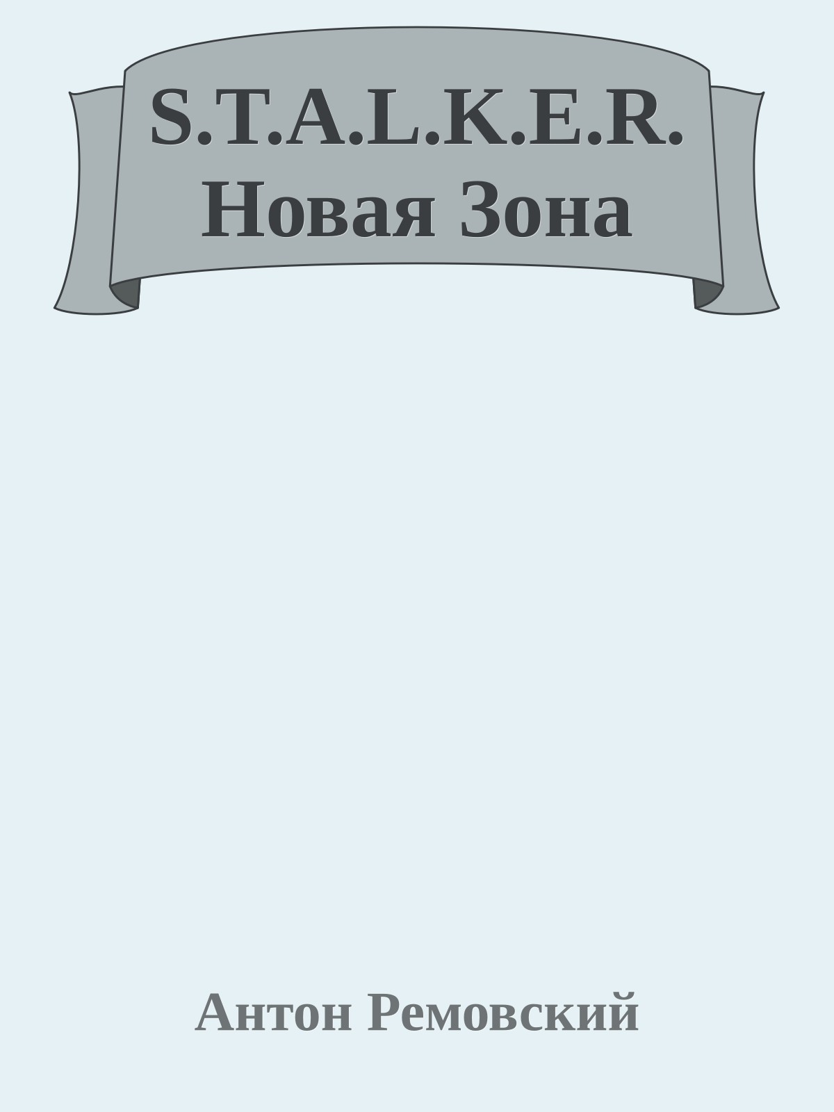 S.T.A.L.K.E.R. Новая Зона