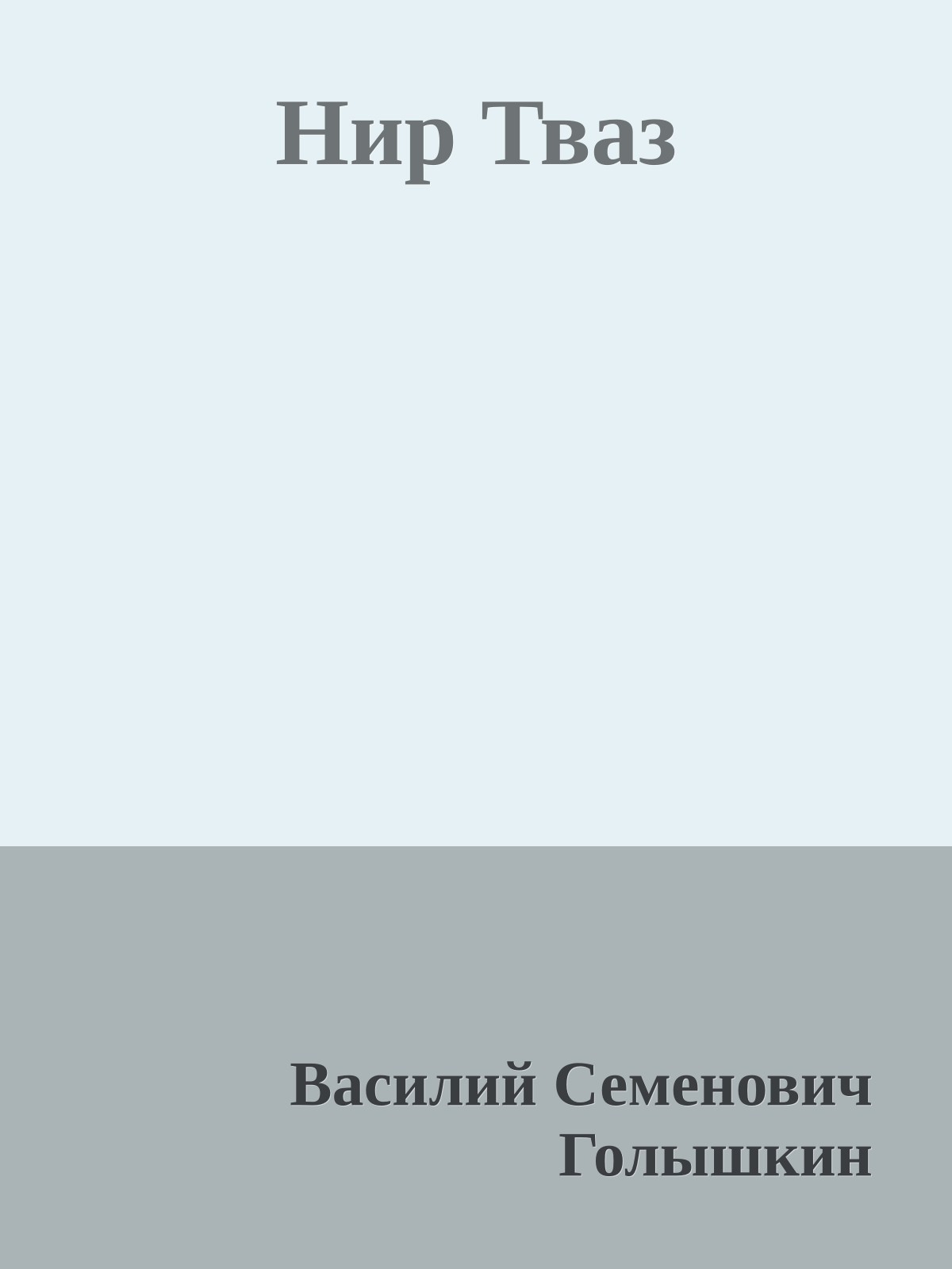 Нир Тваз