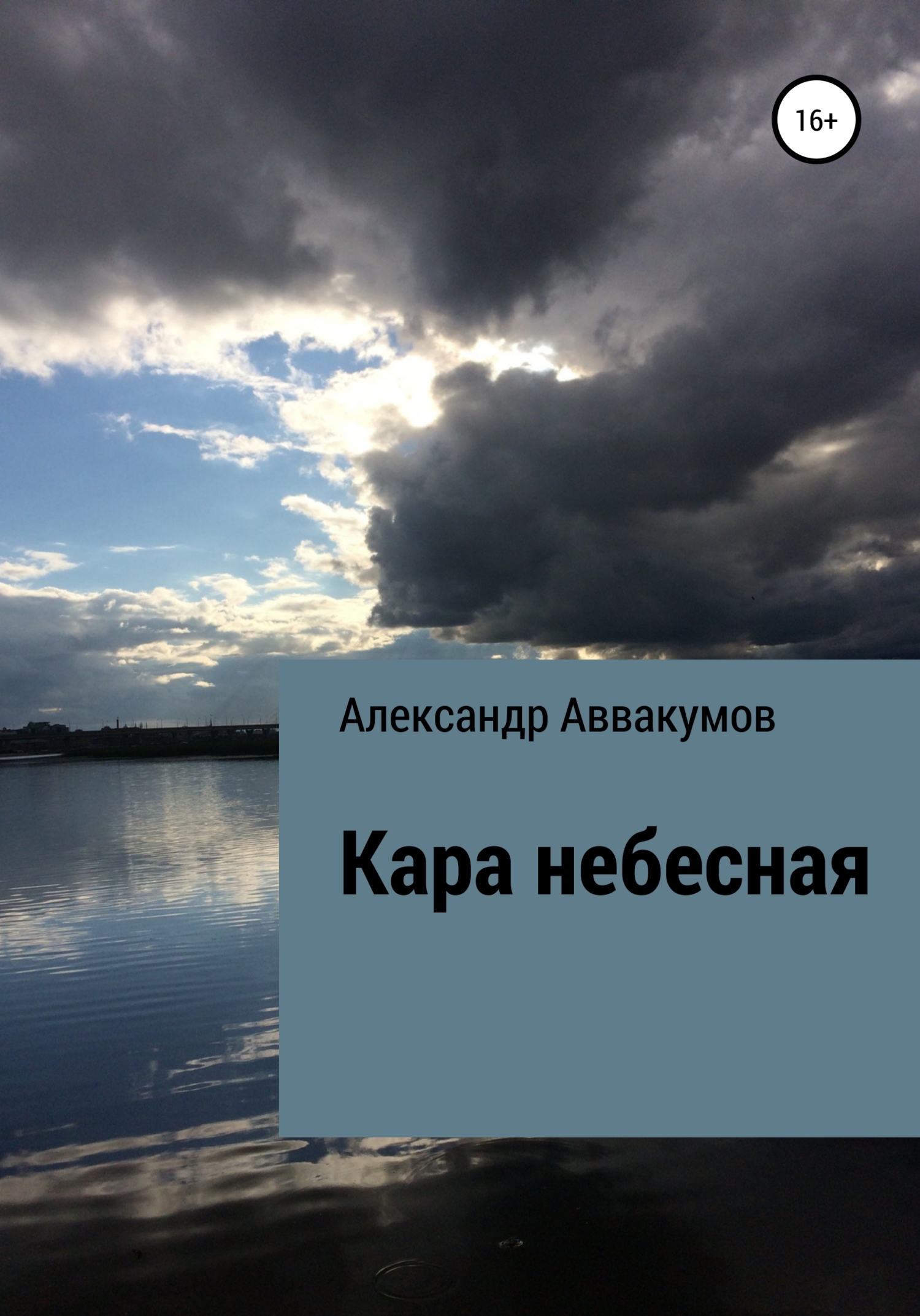 Кара небесная [litres самиздат]