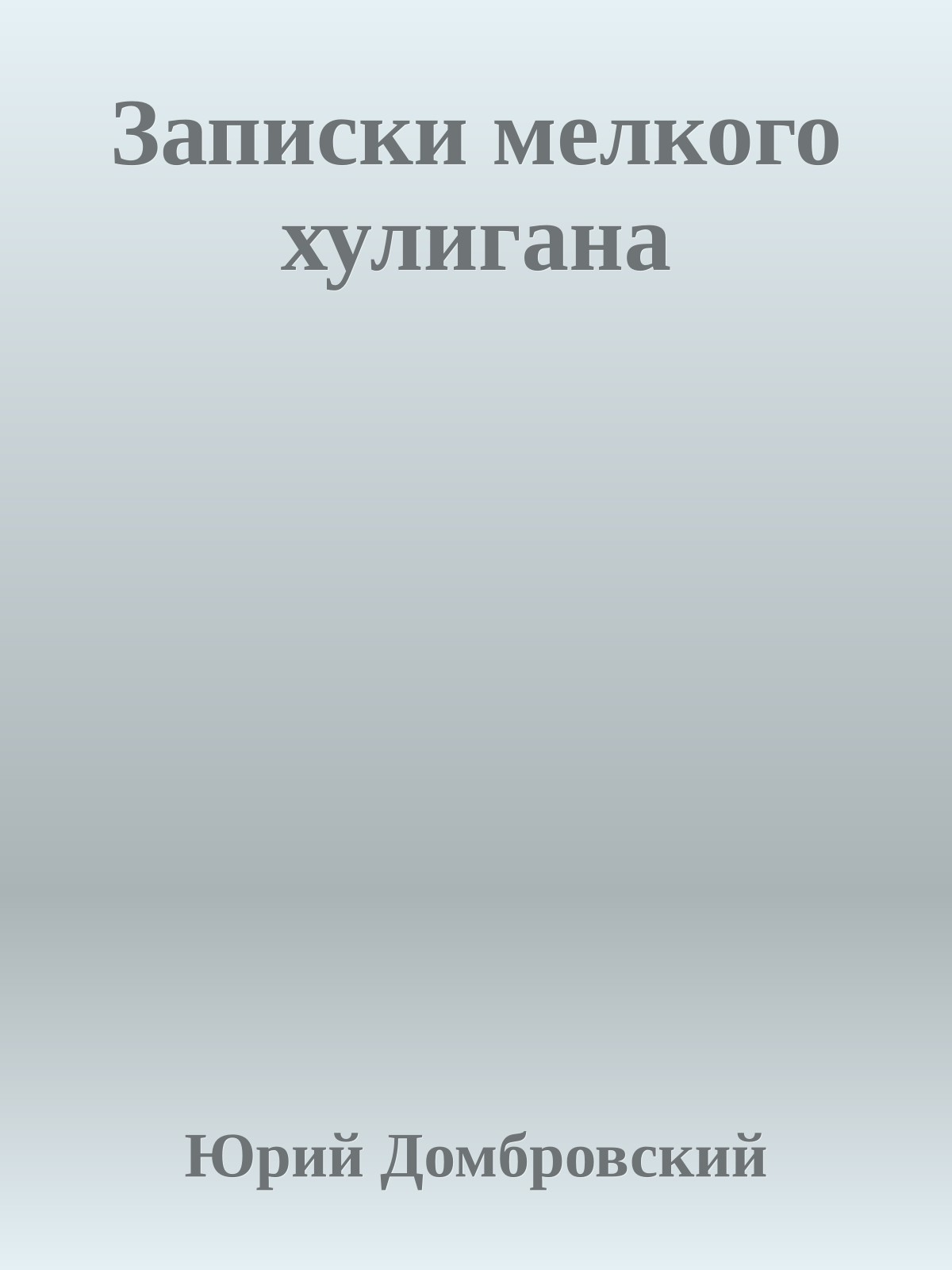 Записки мелкого хулигана