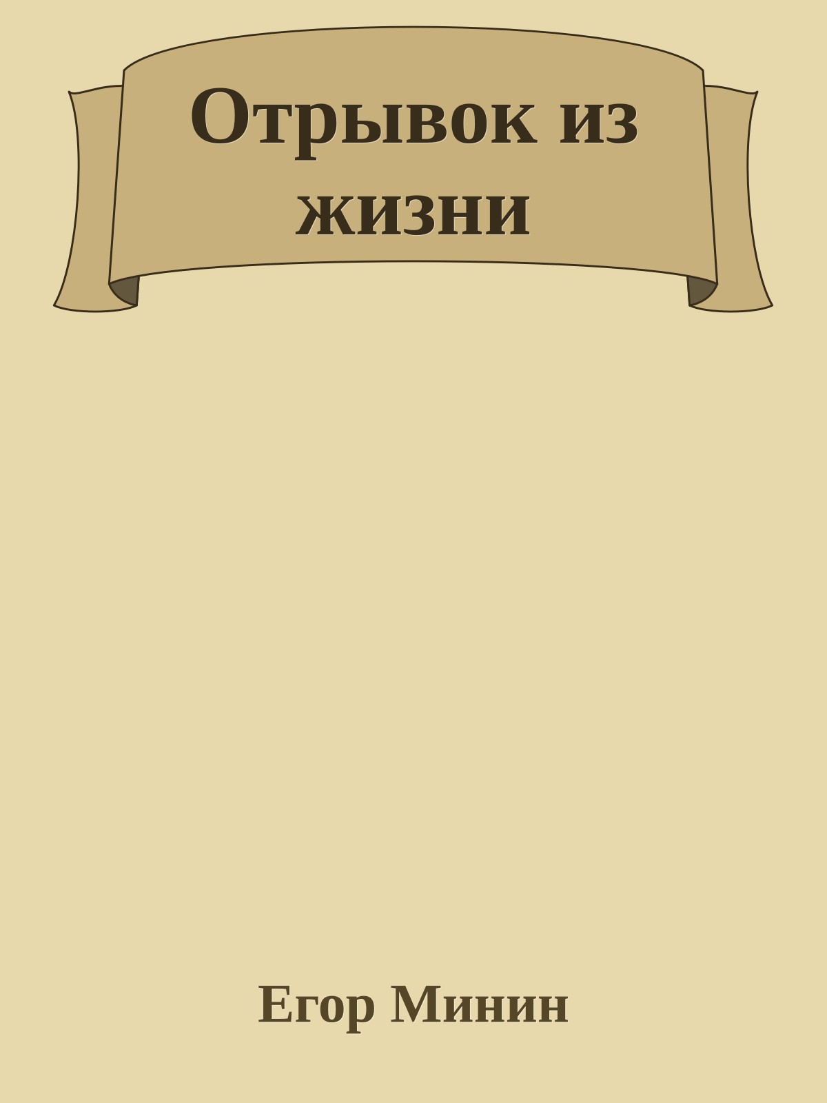 Отрывок из жизни