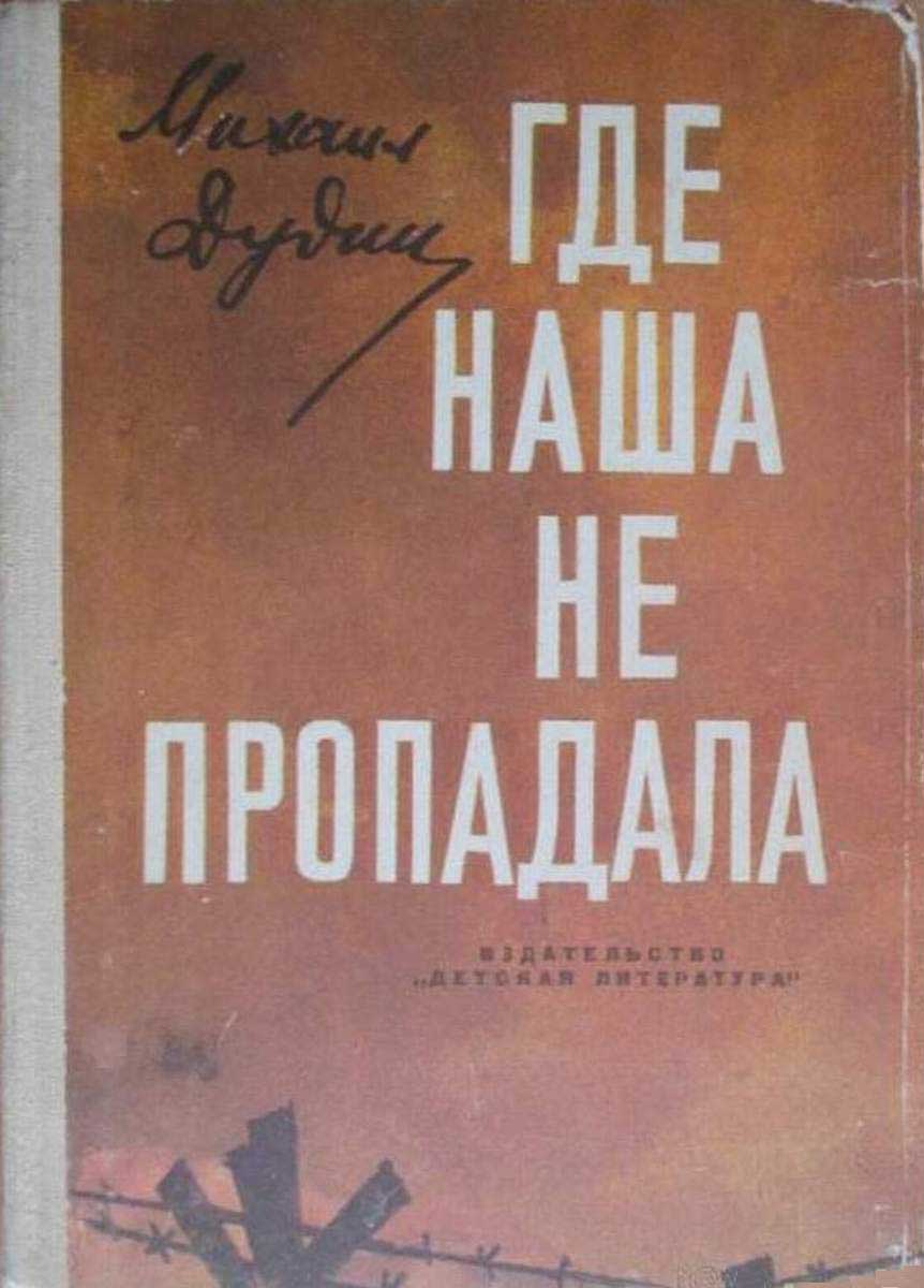 Где наша не пропадала [с иллюстрациями]
