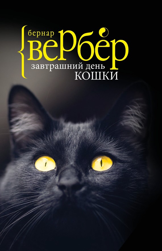 Завтрашний день кошки