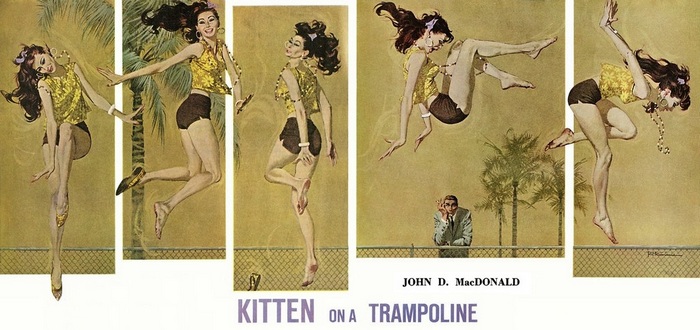 Kitten on a Trampoline [story]