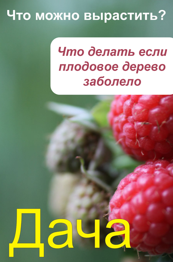 Что можно вырастить Что делать, если плодовое дерево заболело