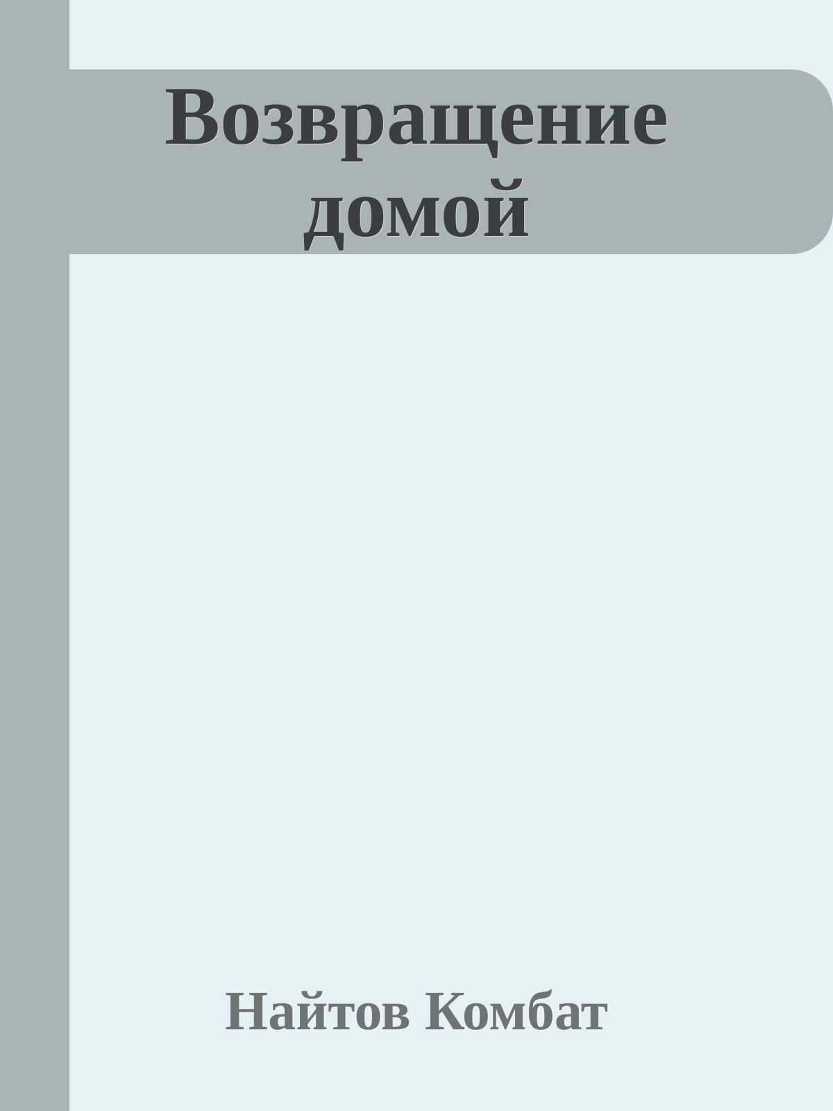 Возвращение домой