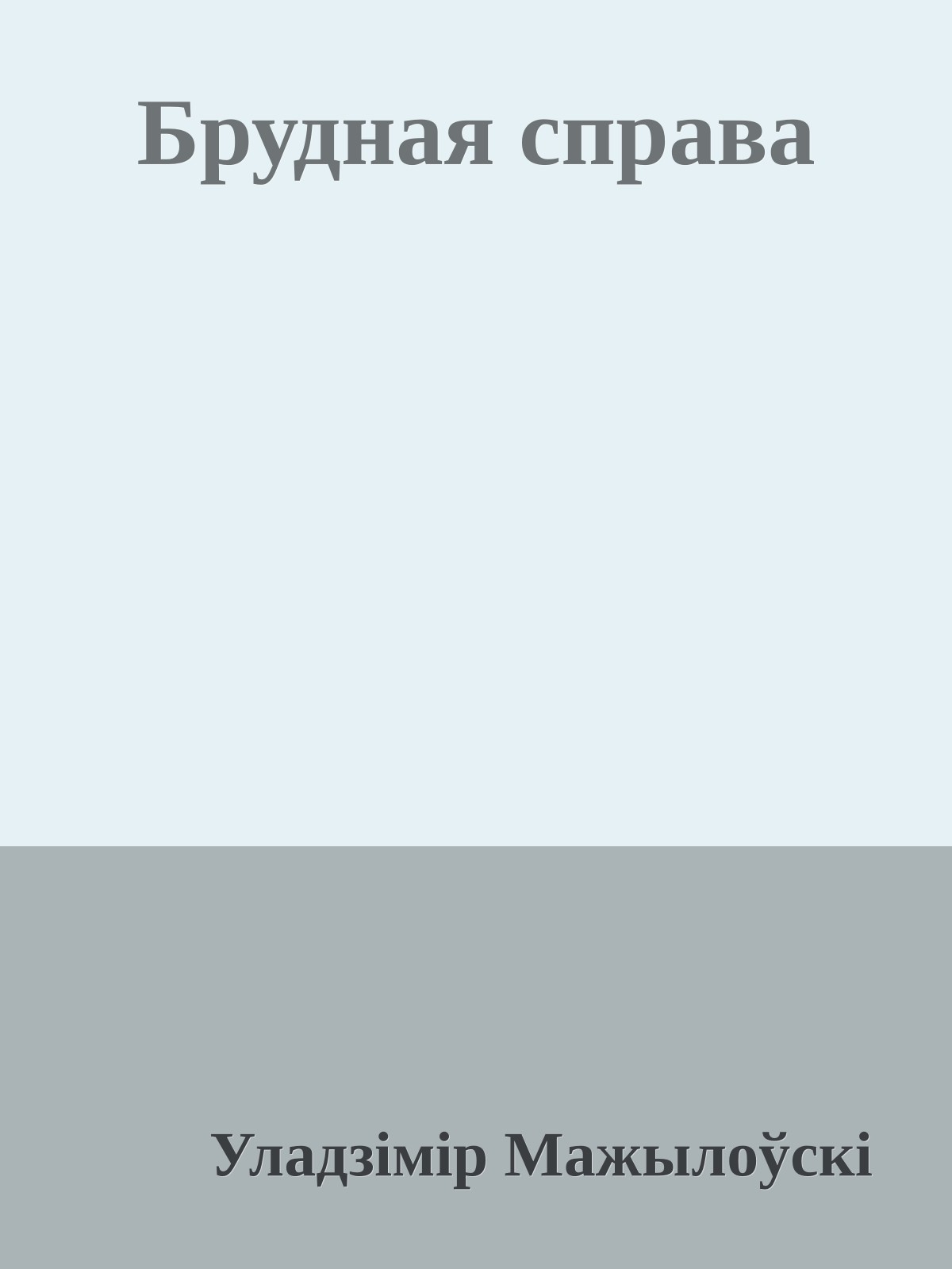 Брудная справа