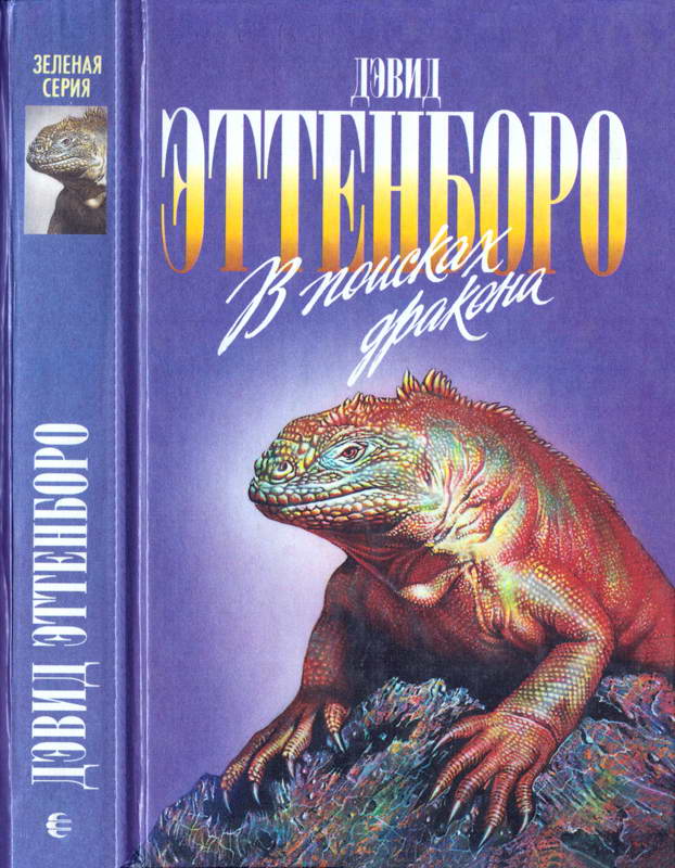 В поисках дракона