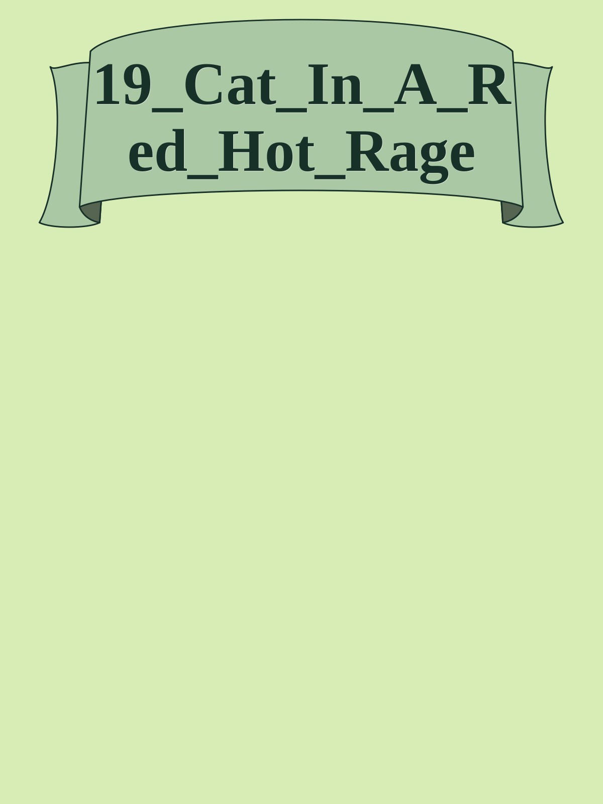 19_Cat_In_A_Red_Hot_Rage