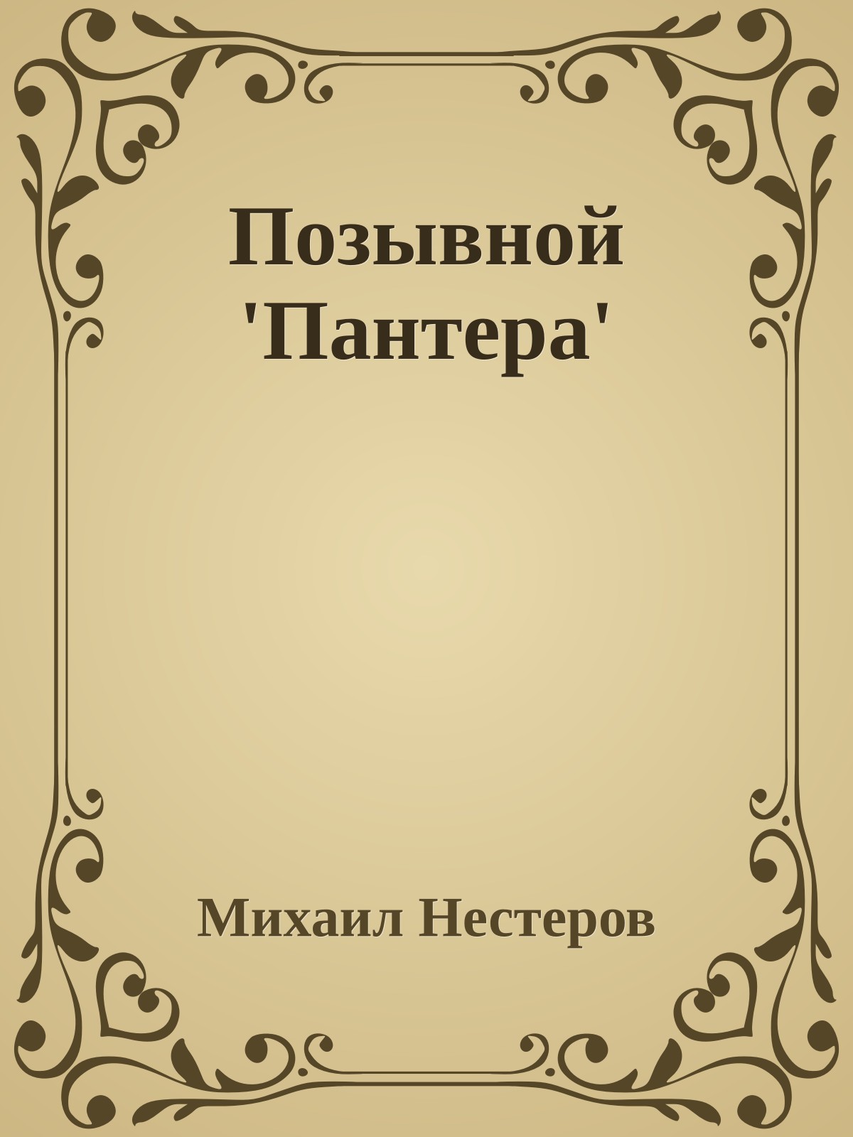 Позывной 'Пантера'