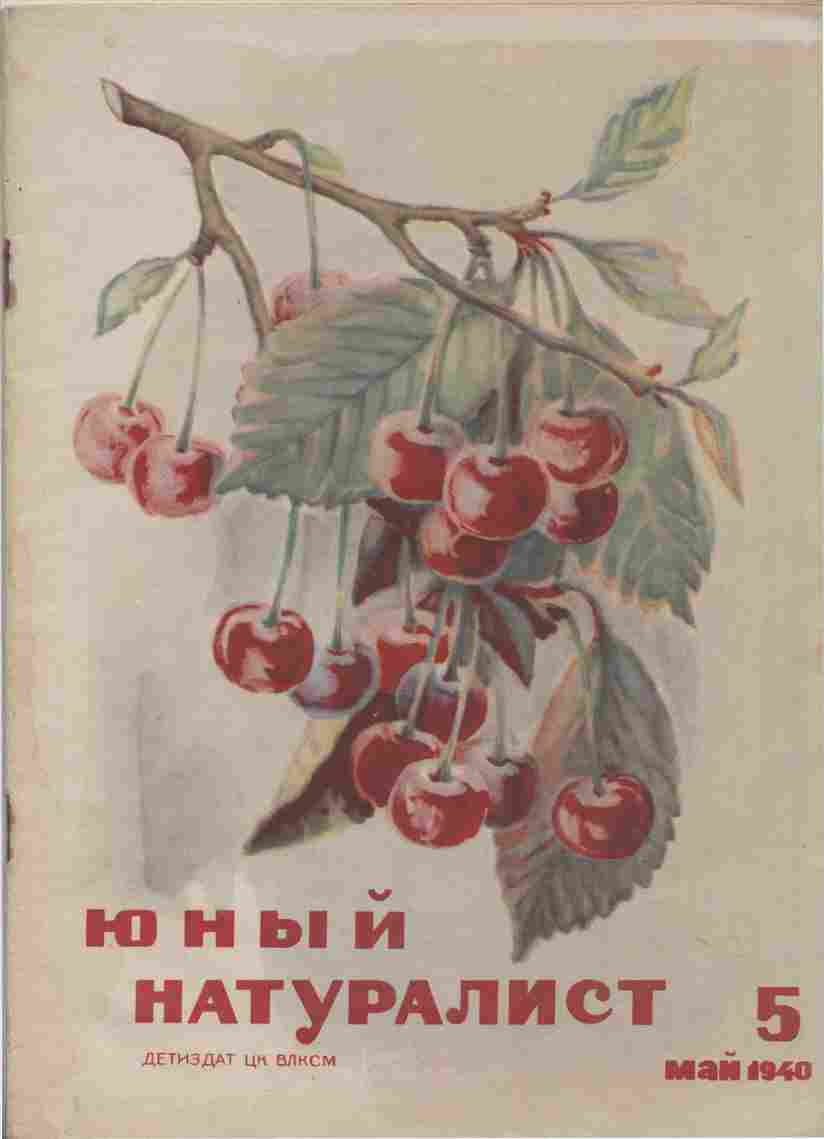 Журнал "Юный Натуралист" №5 1940