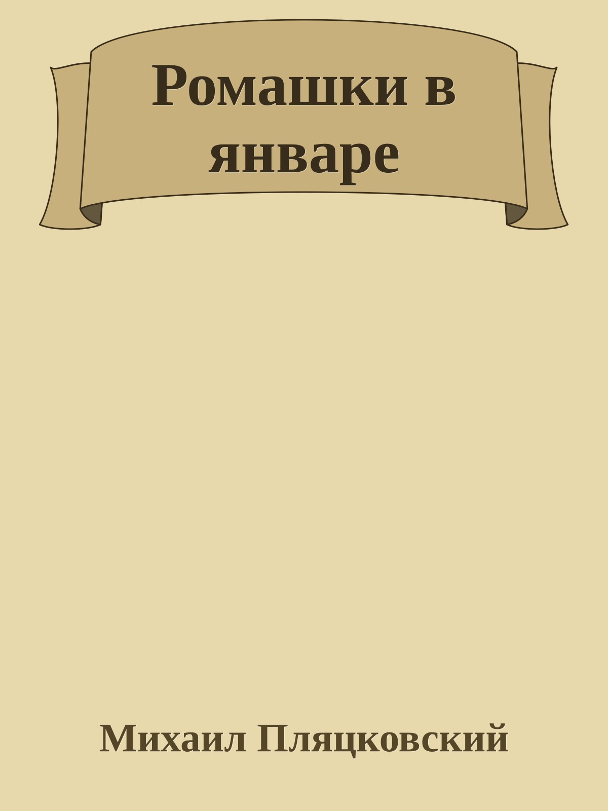 Ромашки в январе